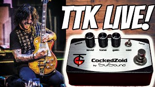 A guitar for LESS than 200 that YOU WANT  LIVE DEMO  TRACII GUNS COCKEDZOID Distortion Pedal [upl. by Adnuahs313]