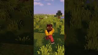 Minecraft Mysterious Disc 11 😥 [upl. by Levitan]