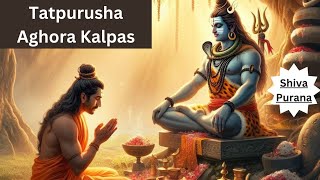 Chapter 238  Tatpurusha Aghora Kalpas English [upl. by Ailatan]