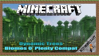 Dynamic Trees  Biomes O Plenty Compat 11651122 amp Tutorial DownloadingInstalling Minecraft [upl. by Yanahs]