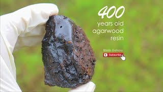 Agarwood Resin  Original 400 Years Old [upl. by Lorens954]