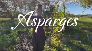 Asparges 🌱👩🏻‍🌾 [upl. by Htez]