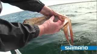 How to catch Squid quotPart 1quot  SHIMANO FISHING [upl. by Nnomae]