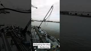 How to refueling the ship 🤩  Bunkering process  sea ship fuel maersk msc evergreen cmacgm [upl. by Hedvig]