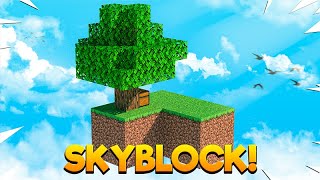 Minecraft Bedrock Skyblock Realm  Portal Skyblock Tutorial EP1 [upl. by Nnylahs974]