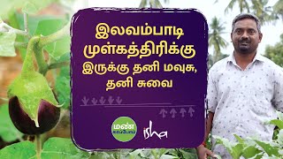 பாரம்பரிய முள்கத்திரியை மீட்டெடுத்த சாதனை விவசாயி [upl. by Nospmoht]