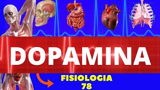 DOPAMINA  NEUROTRANSMISSOR FISIOLOGIA DE GUYTON  FISIOLOGIA DA DOPAMINA  NEUROFISIOLOGIA [upl. by Naletak]