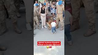 Jandarma Eğitimli Köpeğin Dikkati ve Bebeğin Eğlencesi 😂 [upl. by Legnaesoj716]