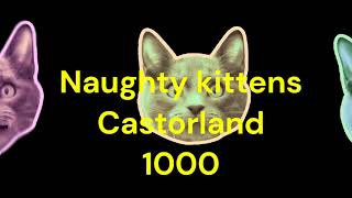 Puzzle Time Lapse Naughty kittens Castorland 500 [upl. by Kurtis]