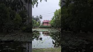 Rajshahi College [upl. by Eugen485]