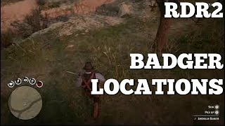 RDR2 BADGER LOCATIONS [upl. by Shoemaker342]