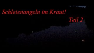 Schleienangeln im Kraut Teil 2 [upl. by Nnylakcaj]