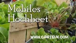 Mini Hochbeet im Einkaufswagen [upl. by Oinotnanauj]