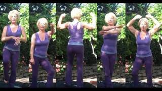 Fitness Trampoline Rebounder Routine  Follow Along [upl. by Daune885]