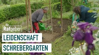 So gelingt der Gemüseanbau  Kleiner Schrebergarten – große Freiheit 15  die Ratgeber [upl. by Combs57]