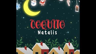 Natalis  Coquito Official Lyric Video [upl. by Zirtaeb]