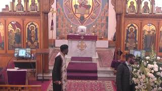 St George Coptic Orthodox Church Livestream [upl. by Flemming699]