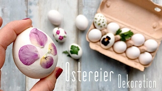 Osterdeko Ostereier dekorieren ohne bemalen  Minimalismus Last Minute 🌺  FitnessDessertde [upl. by Notgnirra]