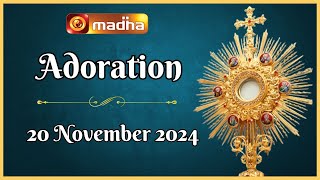 🔴 LIVE 20 November 2024 Adoration 1100 AM  Madha TV [upl. by Fern]