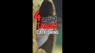 How to Find Catfish Without Electronics [upl. by Meadows981]