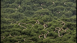 The Awesomeness of Brazils Snake Island The Mystery of the Island and the Ban on Human Arrivals [upl. by Panta667]