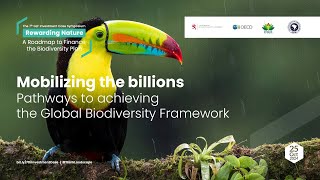 Mobilizing the billions Pathways to achieving the Global Biodiversity Frameworkdraft [upl. by Newnorb]