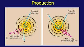 Xray Production [upl. by Namaj872]