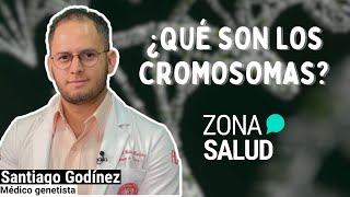 ¿Qué son los cromosomas  ZonaDeSalud🧬 [upl. by Nebuer]