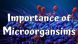 Importance of Microorganisms Grade 08 Science 01st Lesson English Medium [upl. by Beauchamp]