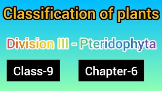 PteridophytaClass9 chapter6science part 2 [upl. by Sarena]