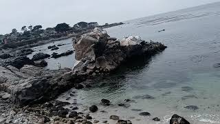 Open Ceremony Tokyo 2021 Olympics Dead Tide Pool Jumping World Record Holder Descends [upl. by Akinot830]