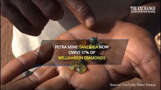 Petra Mine Tanzania Now Owns 37 of Williamson Diamonds [upl. by Kafka]