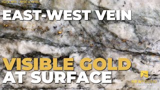 Visible Gold at surface at EastWest Vein in Keats Zone TSXV NFG NYSEA NFGC [upl. by Brana]