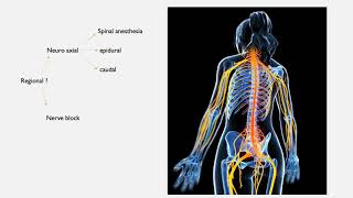 Neuroaxial Anesthesia part 1 [upl. by Palm758]
