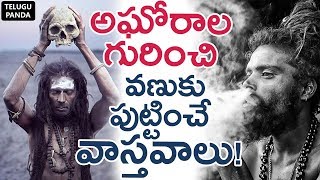 Unknown Facts About AGORAS Life Will Scare You  అఘోరాలు గురించి వణుకు పుట్టించే వాస్తవాలు [upl. by Yddor]