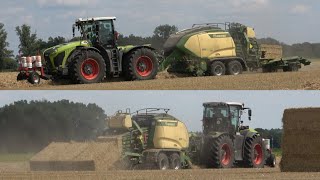 CLAAS XERION 4200 mit KRONE BiGPACK 1290 amp BaleCollect am Quaderballenpressen  SOUND  4K [upl. by Mroz]