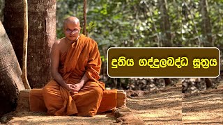 දුතිය ගද්දුලබද්ධ සූත්‍රය  Duthiya Gaddulabadda Suthraya 20241201 [upl. by Alyks]