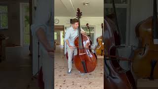 Oskar Kappelmayer Bass and Bow [upl. by Daile991]