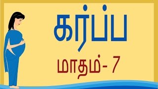 Pregnancy  Tamil  Month 7  கர்ப்பம் மாதம் 7  Week 25 to Week 28 [upl. by Kenna]