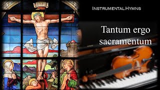 Tantum ergo sacramentum J S Bach  OrganViolin Cover [upl. by Ylrehs]