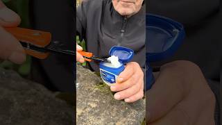 ✅ SURVIVAL skills Lifehack with TEA 🔥 camping outdoors lifehacks bushcraft [upl. by Thrasher903]