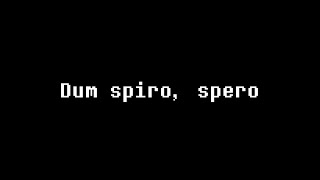 Dum spiro spero  Brutal Hardcore II 1 [upl. by Anwahsal]