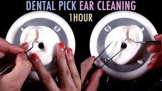 ASMR 1 Hour of Ear Cleaning wDental Pick amp Tweezers No Talking [upl. by Midis]