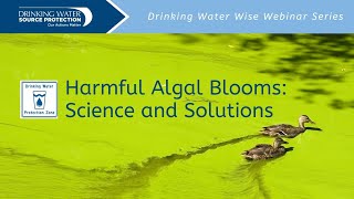 Harmful Algal Blooms Science and Solutions  Drinking Water Wise Webinars  Source Water Protection [upl. by Inar]