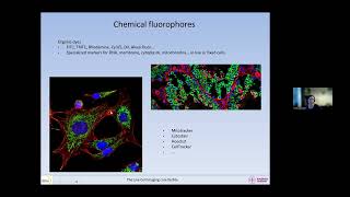 20240130 Fluorescence and fluorophores [upl. by Christan]