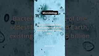 Science Fact  Microbiology  Science 18  shorts science facts microbiology viral [upl. by Ready]