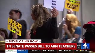 Tennessee Senate passes bill to arm teachers [upl. by Ardnasyl]