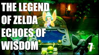 The Legend of Zelda Echoes of Wisdom 7  Stilled Blossus House and Scrub Land [upl. by Burgwell]