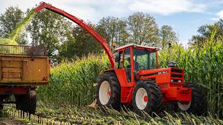 Oldtimer Hakseldag Dalen 2024  Classic maize harvesting  Dozens of tractors amp choppers [upl. by Narcis20]