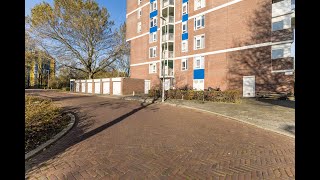 VLIEG Makelaars Logger 26 AMSTELVEEN [upl. by Culver]